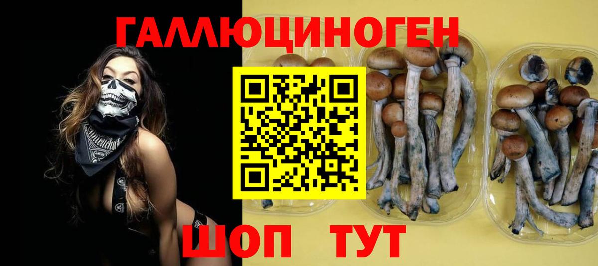 где купить наркоту  Вход с VPN  Саратов  Псилоцибиновые грибы ЛСД 